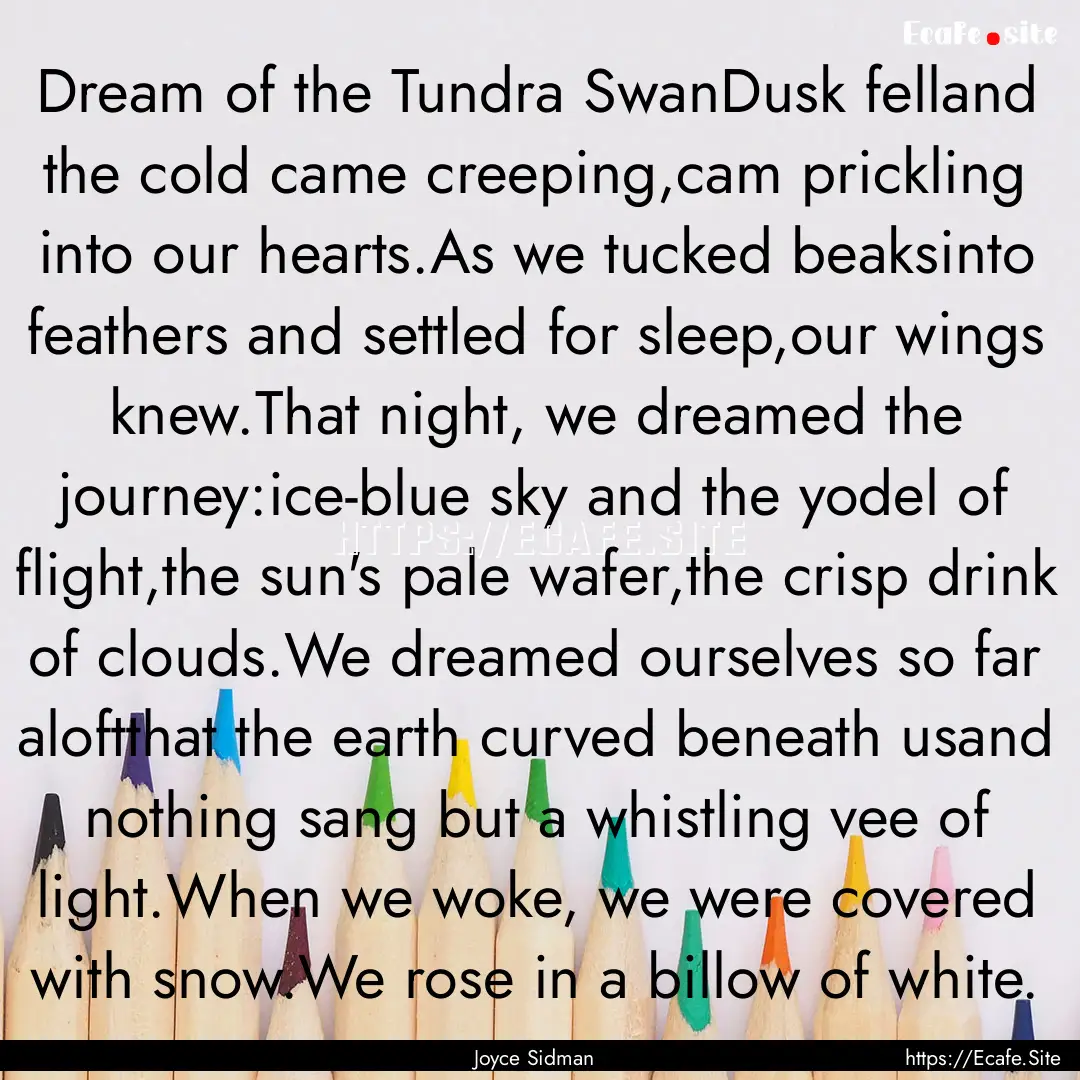 Dream of the Tundra SwanDusk felland the.... : Quote by Joyce Sidman