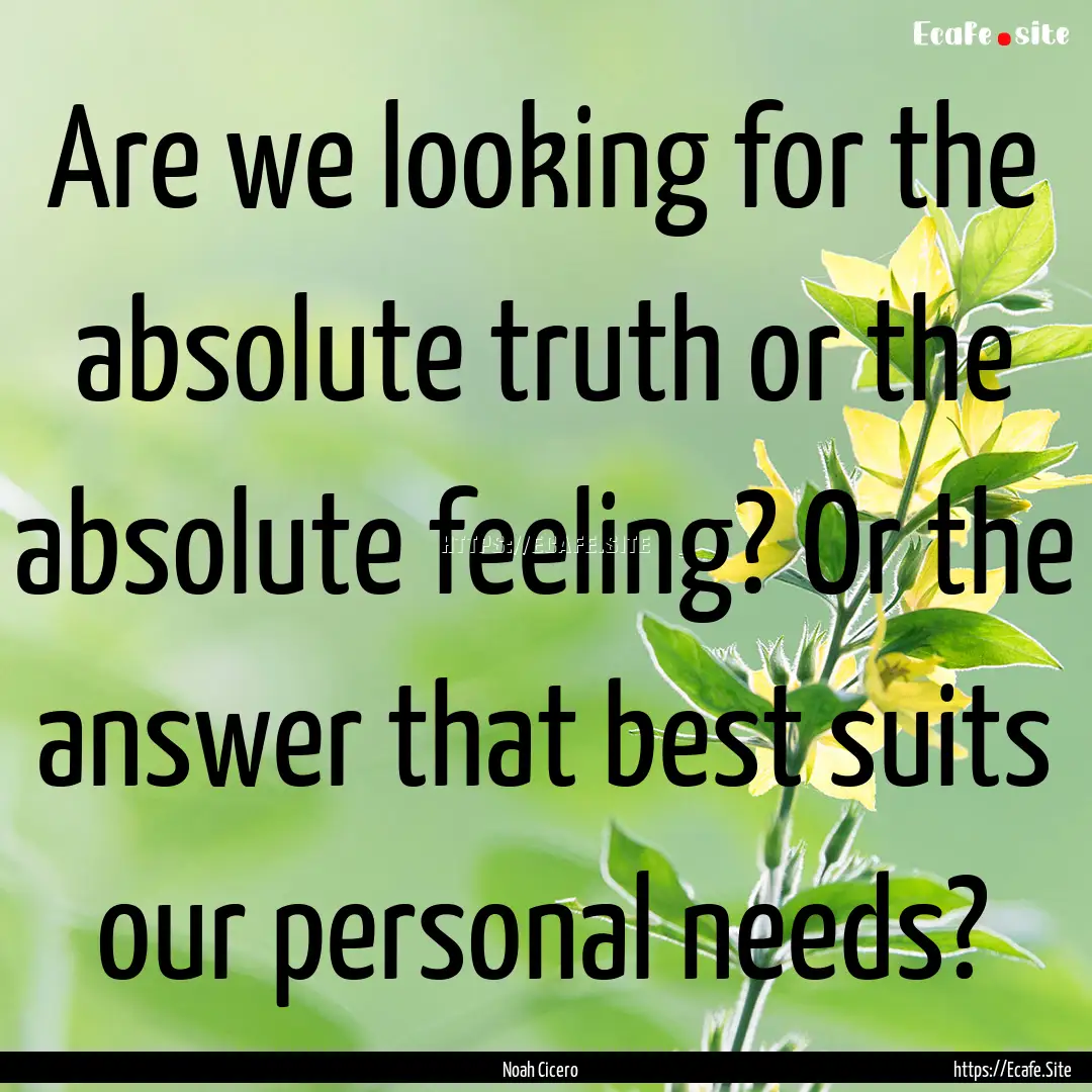 Are we looking for the absolute truth or.... : Quote by Noah Cicero