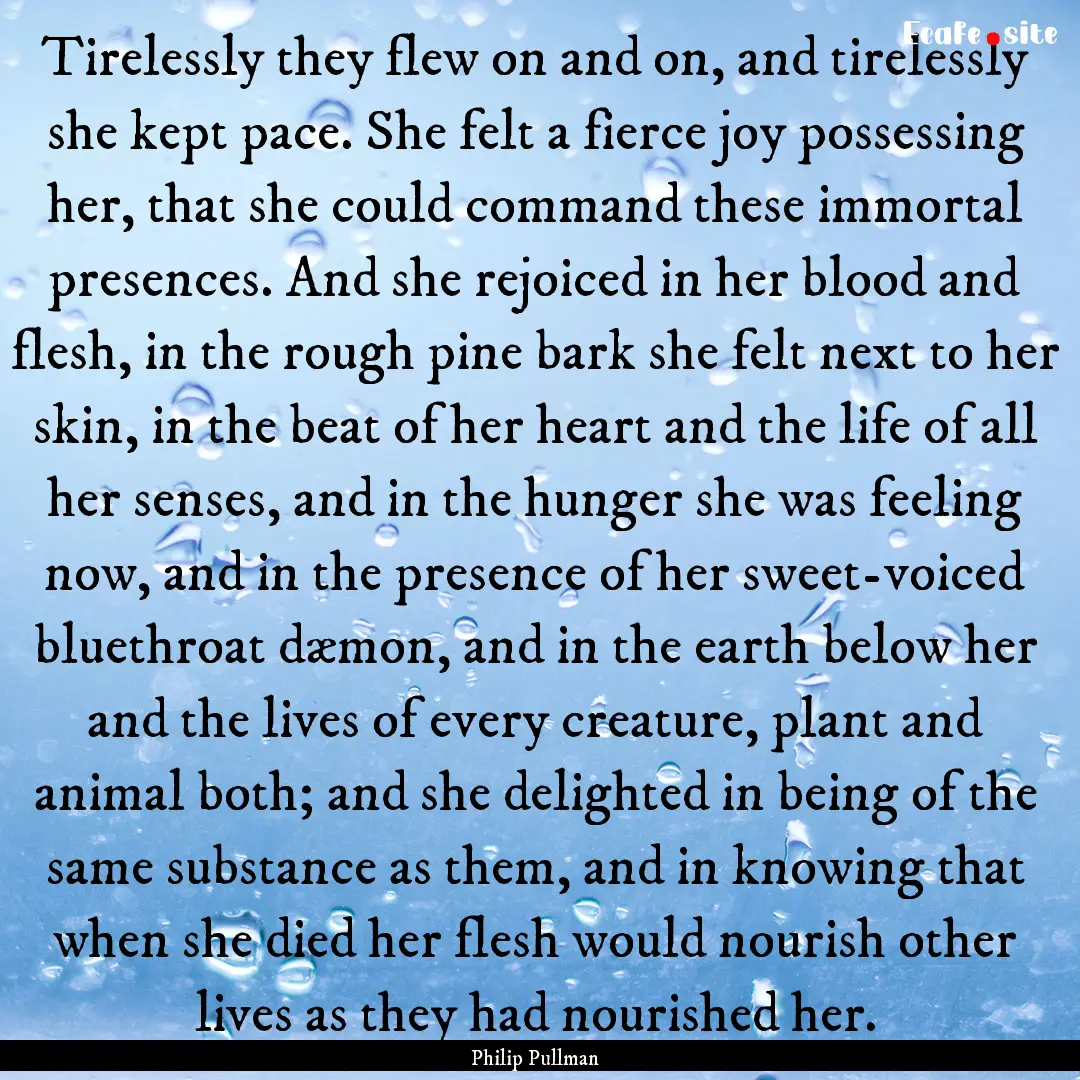 Tirelessly they flew on and on, and tirelessly.... : Quote by Philip Pullman