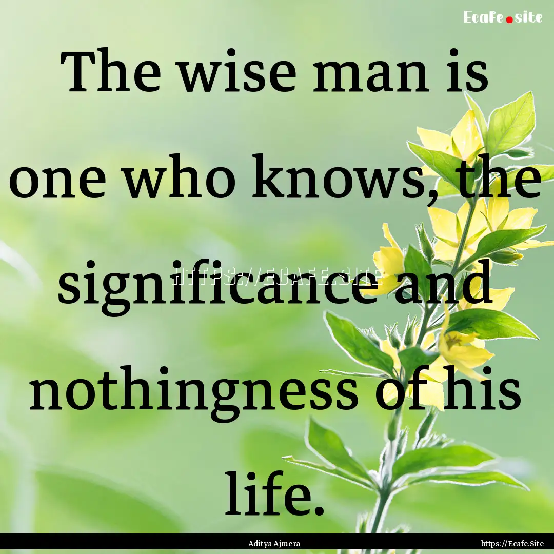 The wise man is one who knows, the significance.... : Quote by Aditya Ajmera