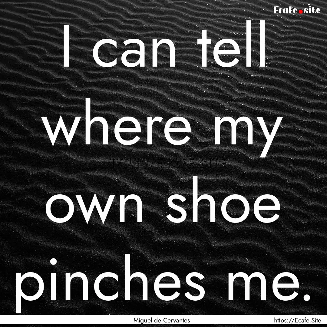 I can tell where my own shoe pinches me. : Quote by Miguel de Cervantes