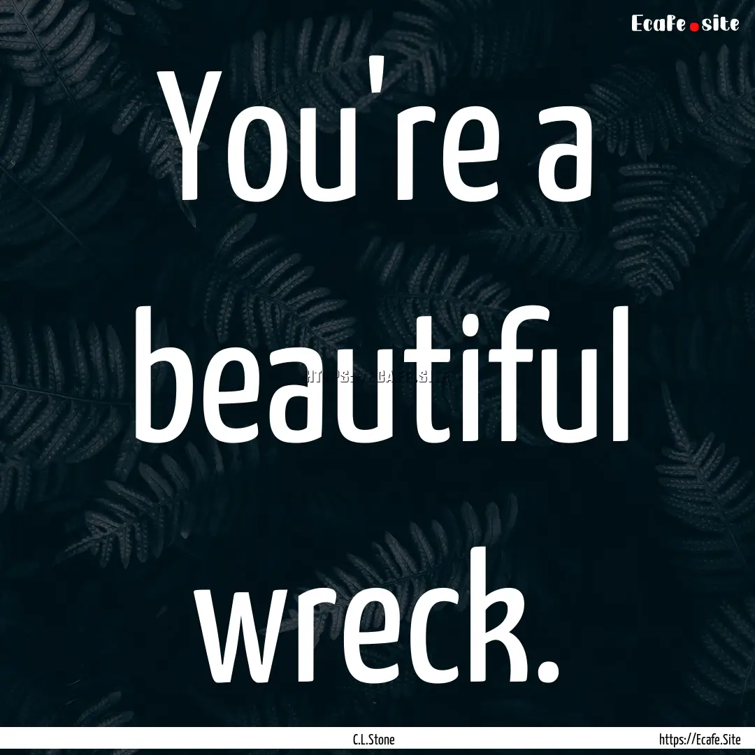 You're a beautiful wreck. : Quote by C.L.Stone