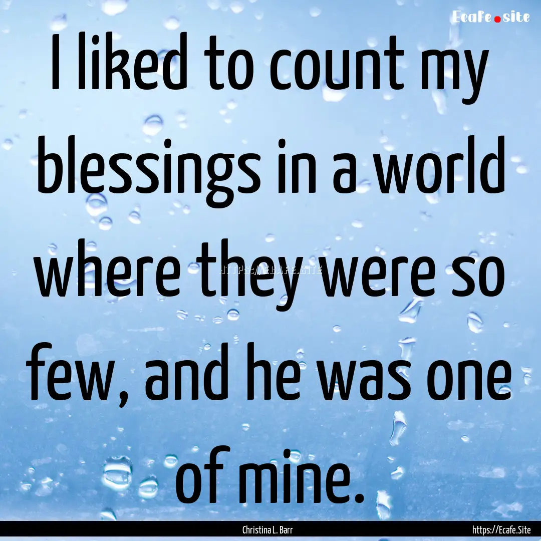 I liked to count my blessings in a world.... : Quote by Christina L. Barr