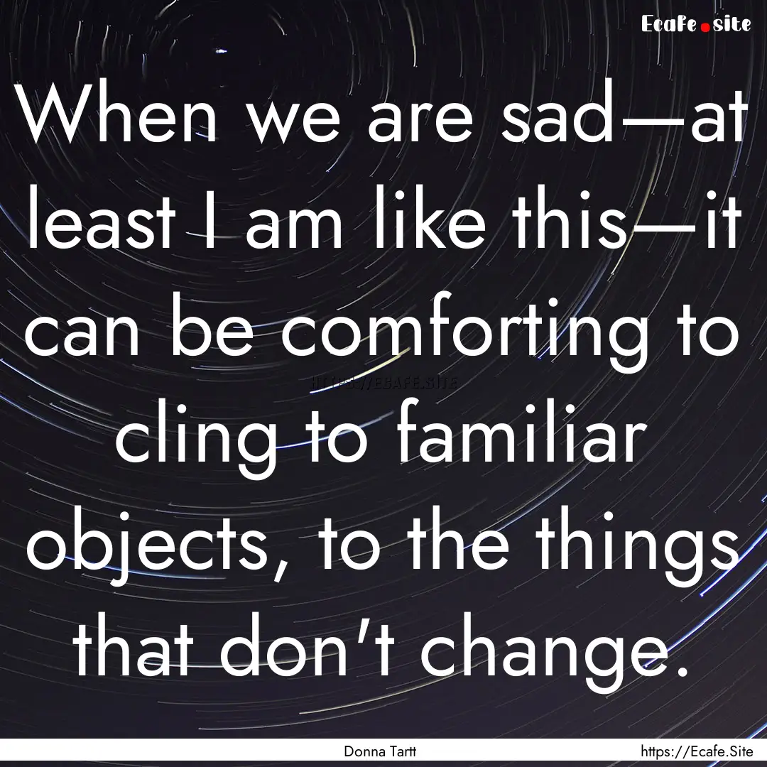 When we are sad—at least I am like this—it.... : Quote by Donna Tartt