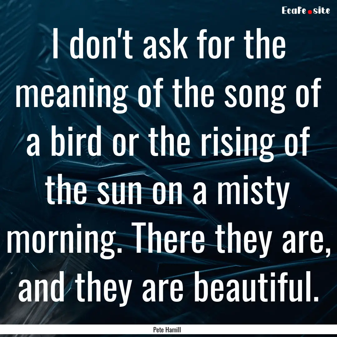 I don't ask for the meaning of the song of.... : Quote by Pete Hamill