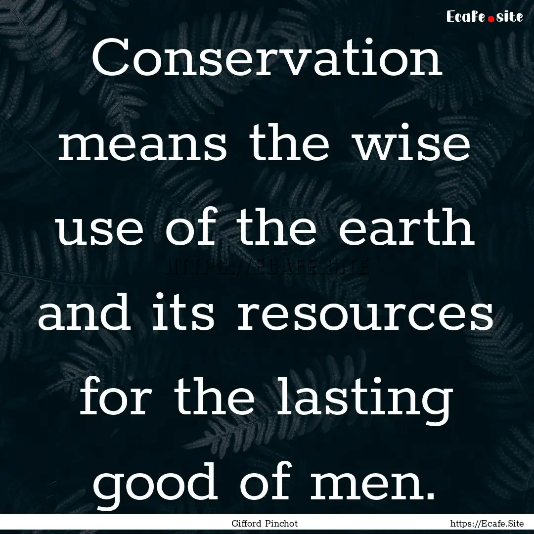 Conservation means the wise use of the earth.... : Quote by Gifford Pinchot