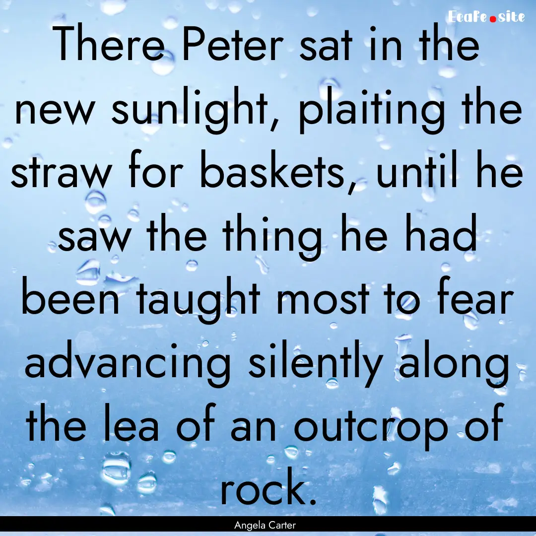 There Peter sat in the new sunlight, plaiting.... : Quote by Angela Carter