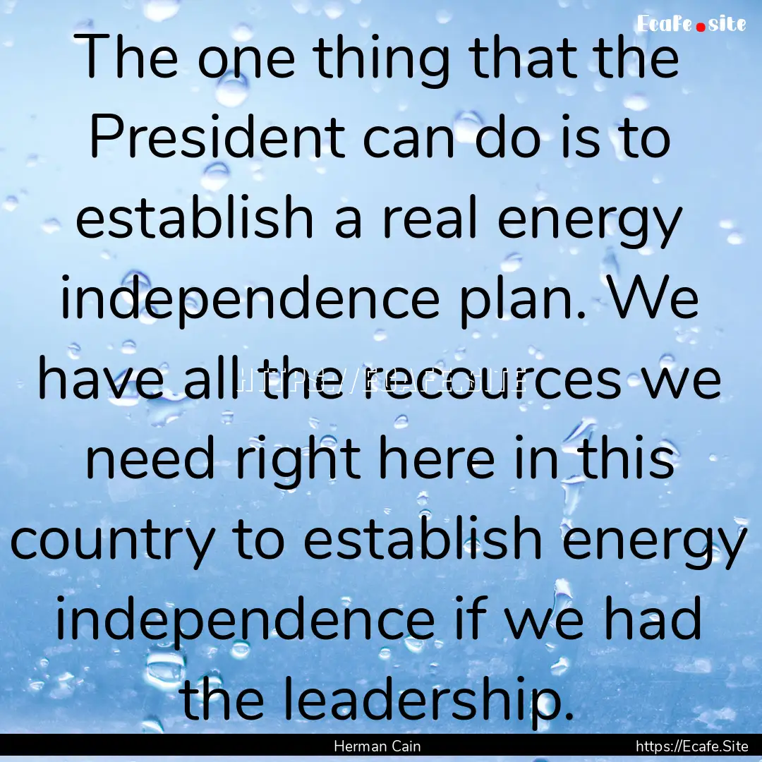 The one thing that the President can do is.... : Quote by Herman Cain