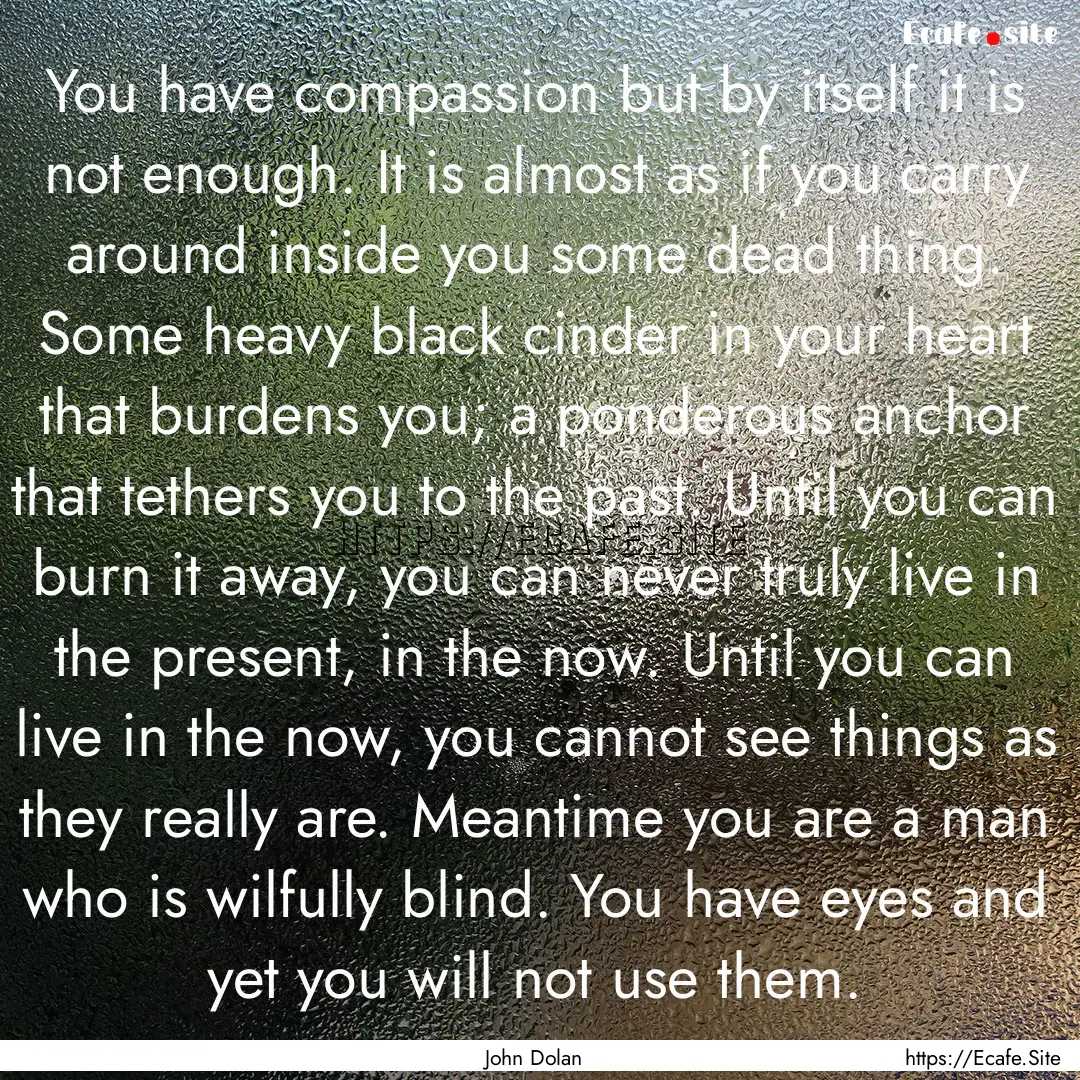 You have compassion but by itself it is not.... : Quote by John Dolan