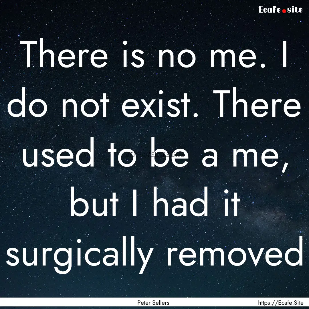 There is no me. I do not exist. There used.... : Quote by Peter Sellers