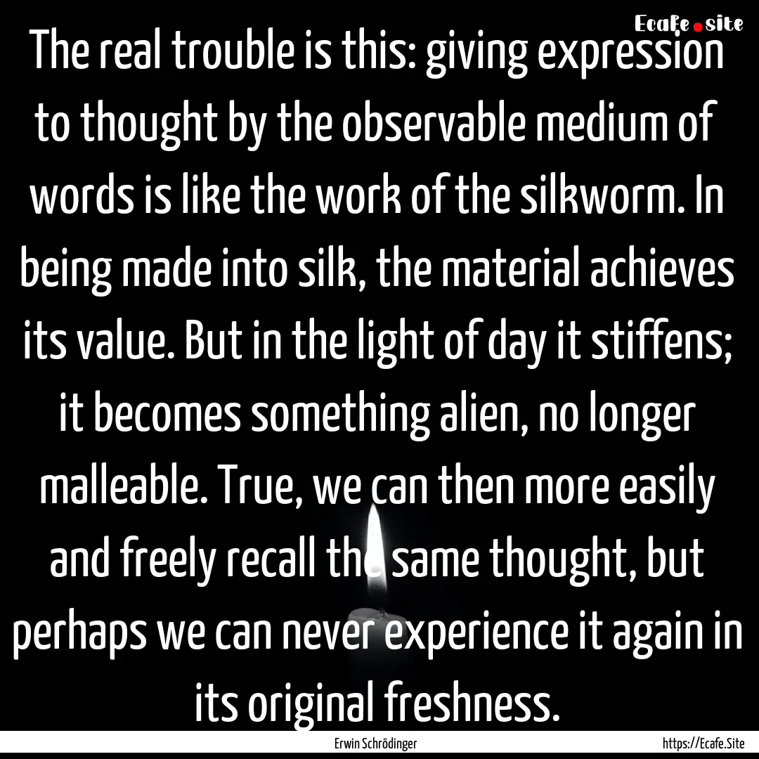 The real trouble is this: giving expression.... : Quote by Erwin Schrödinger