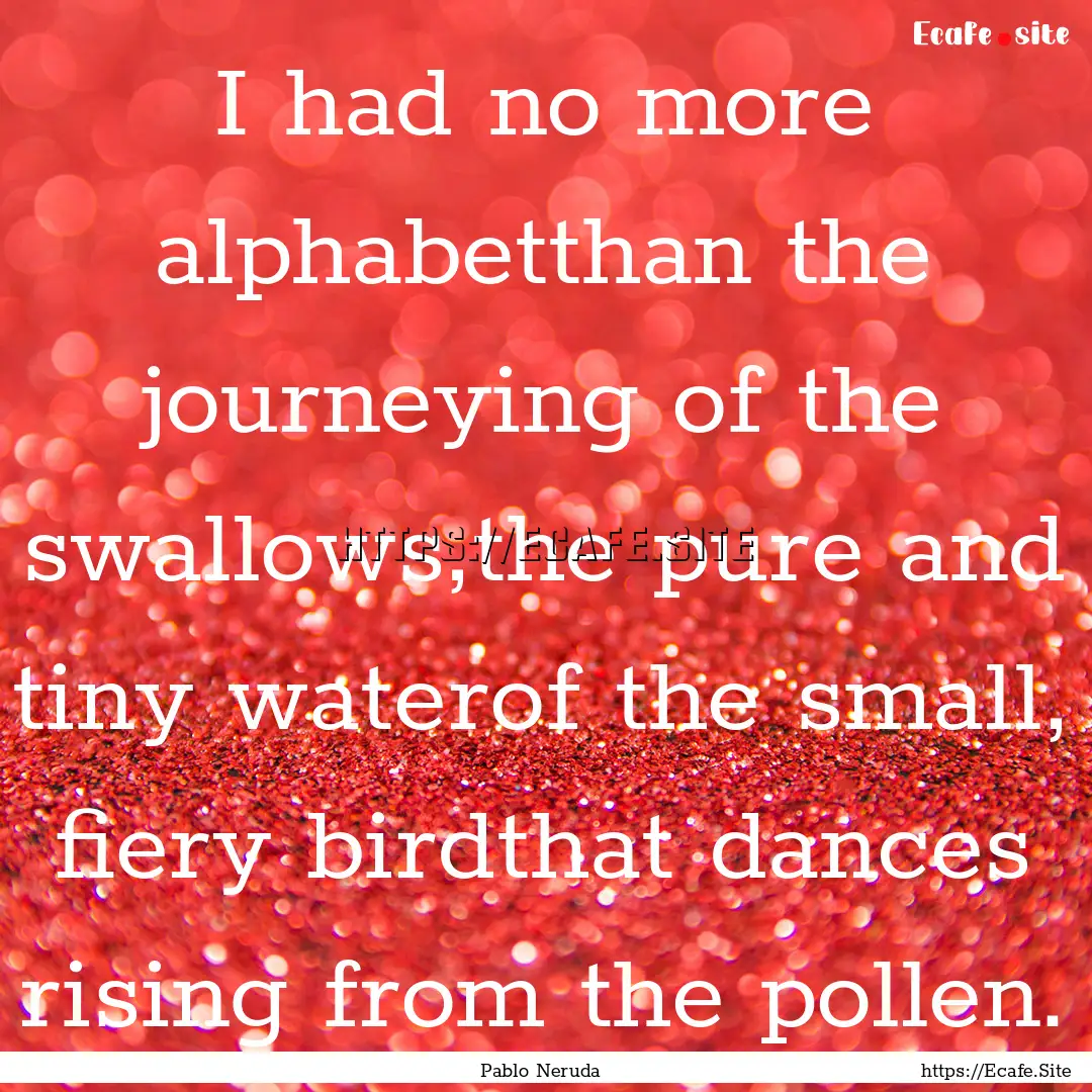 I had no more alphabetthan the journeying.... : Quote by Pablo Neruda