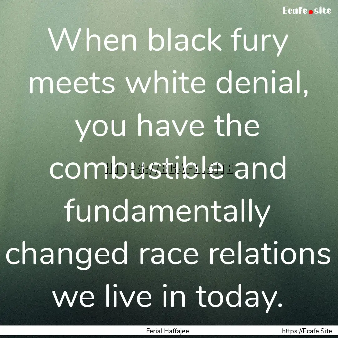 When black fury meets white denial, you have.... : Quote by Ferial Haffajee