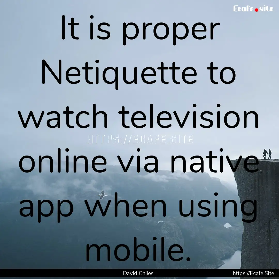 It is proper ‎Netiquette to watch television.... : Quote by David Chiles