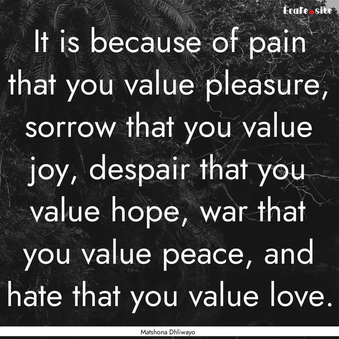 It is because of pain that you value pleasure,.... : Quote by Matshona Dhliwayo