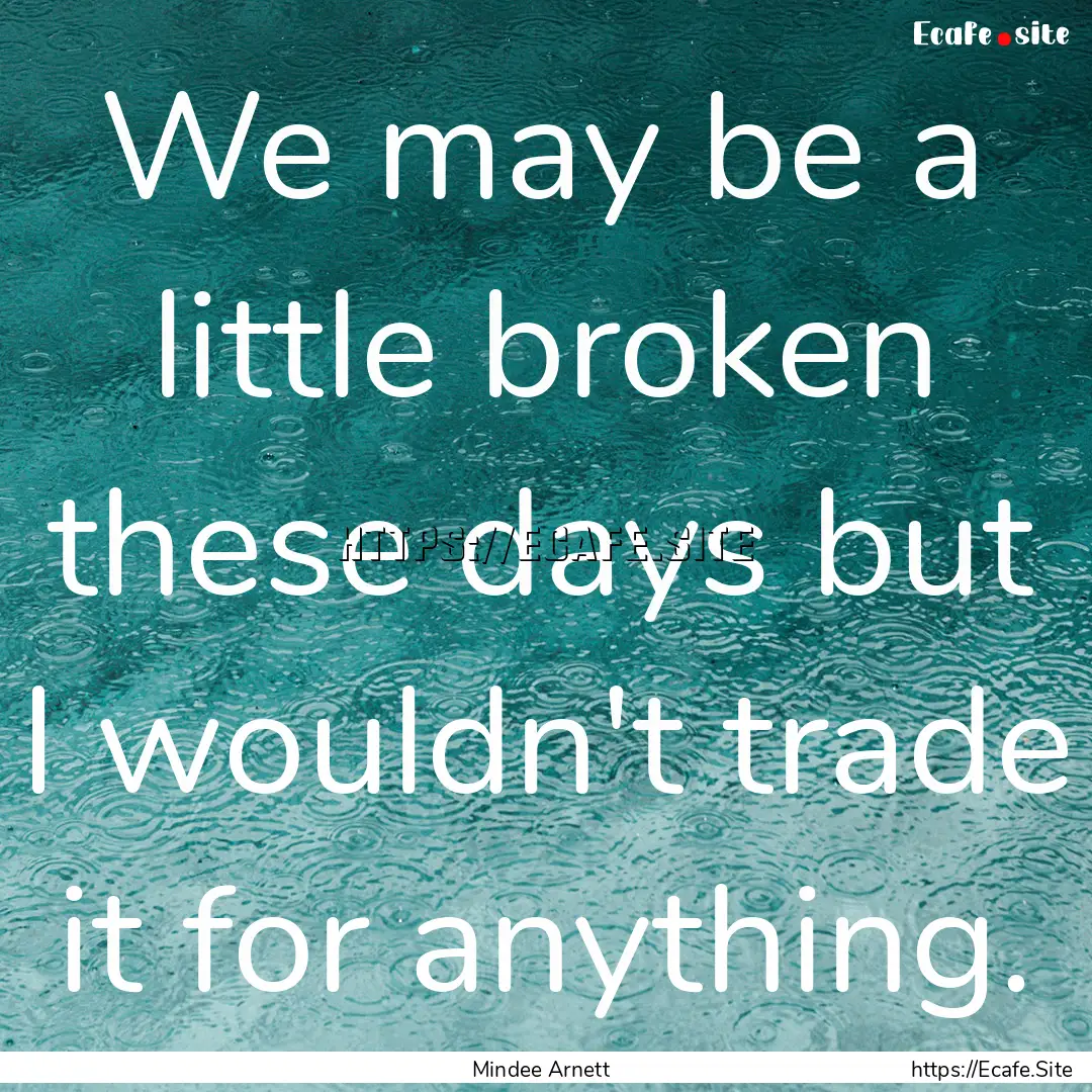 We may be a little broken these days but.... : Quote by Mindee Arnett