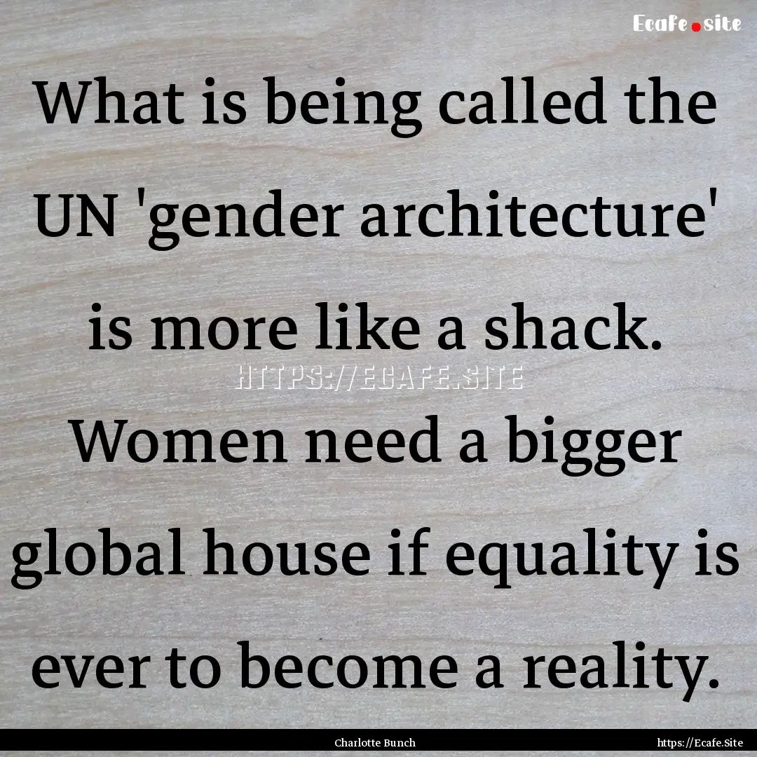 What is being called the UN 'gender architecture'.... : Quote by Charlotte Bunch