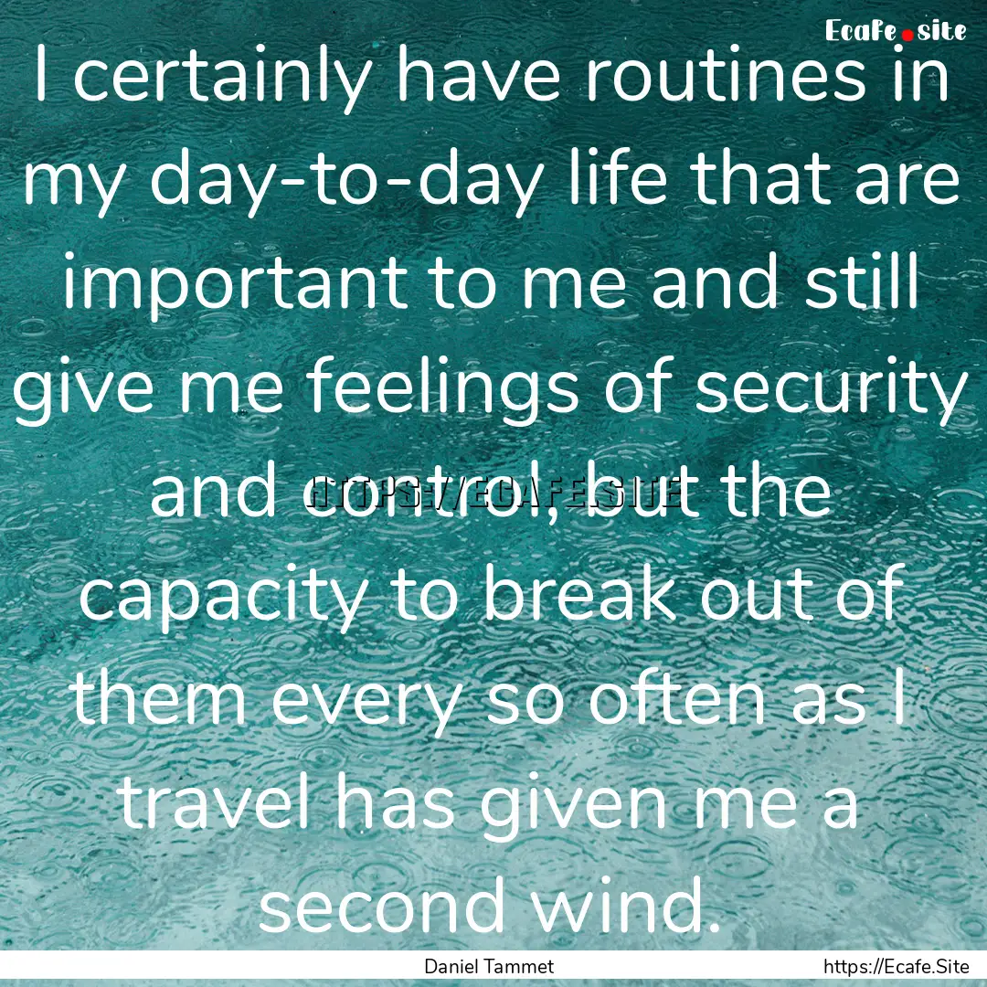 I certainly have routines in my day-to-day.... : Quote by Daniel Tammet