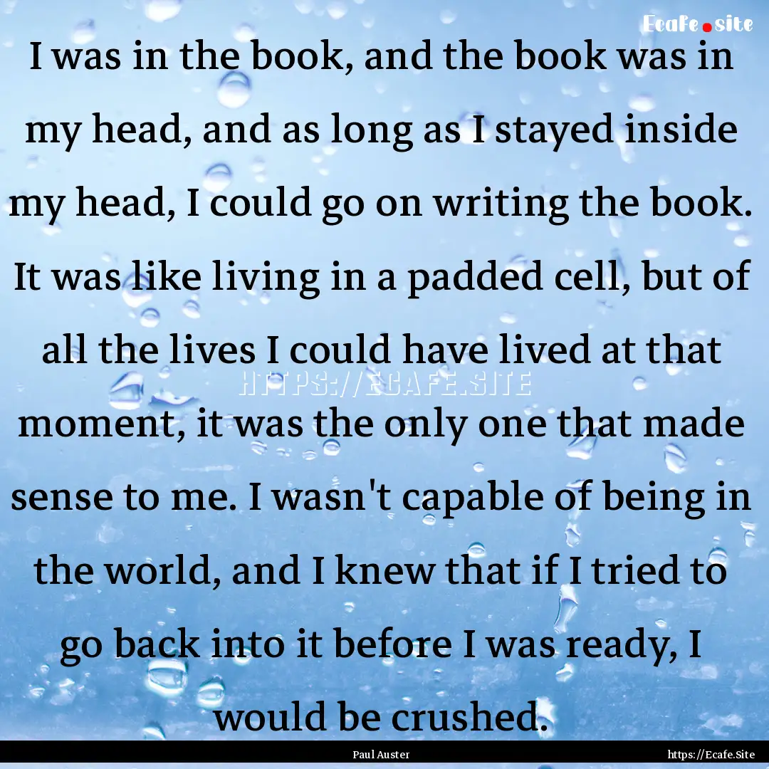 I was in the book, and the book was in my.... : Quote by Paul Auster