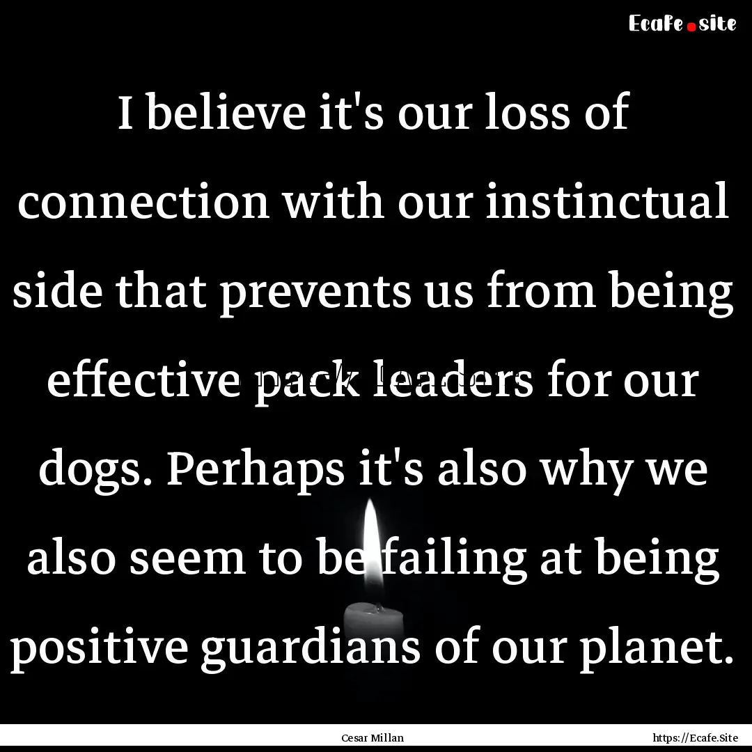 I believe it's our loss of connection with.... : Quote by Cesar Millan