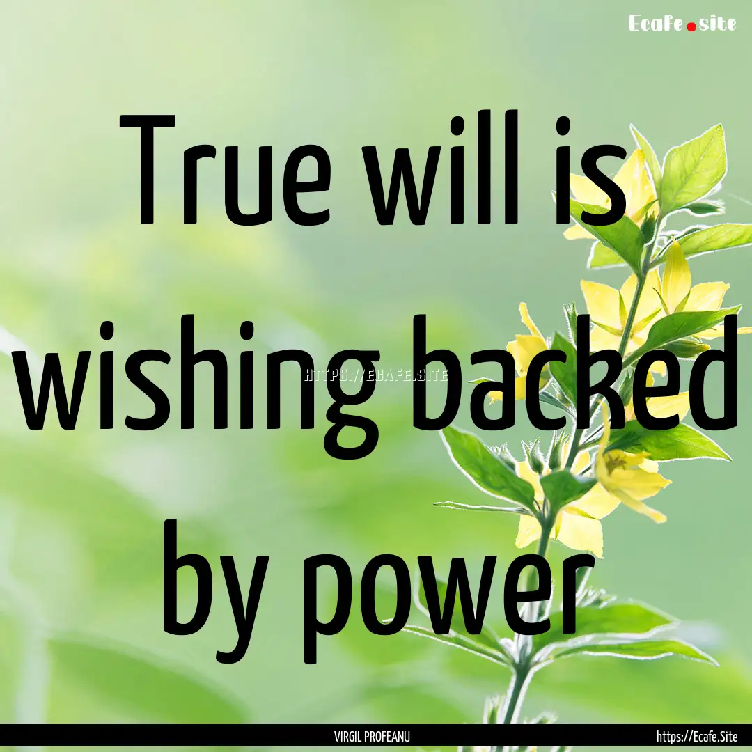 True will is wishing backed by power : Quote by VIRGIL PROFEANU