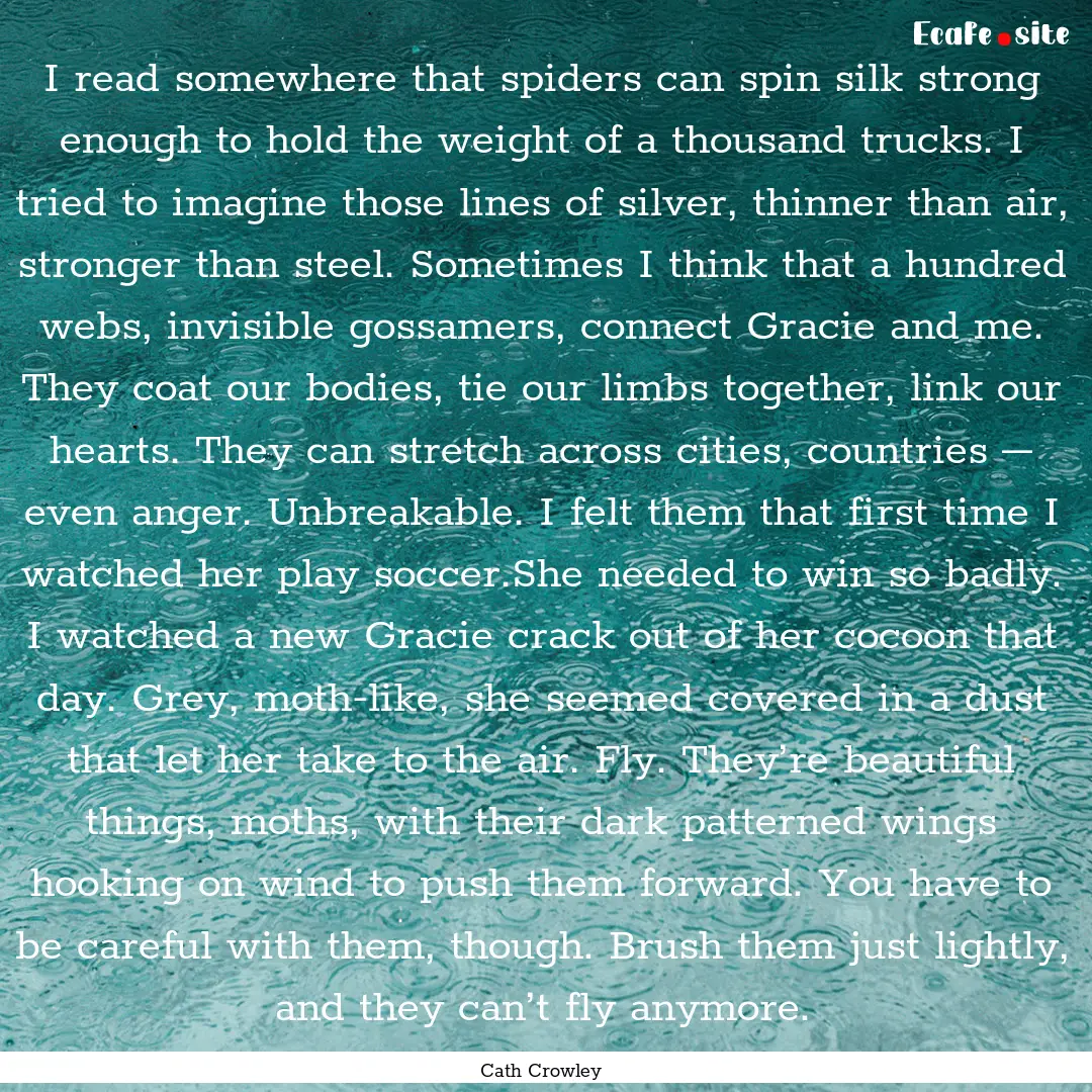 I read somewhere that spiders can spin silk.... : Quote by Cath Crowley