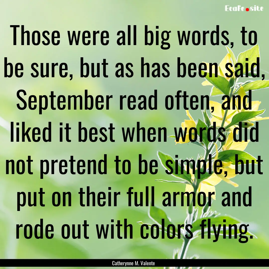 Those were all big words, to be sure, but.... : Quote by Catherynne M. Valente