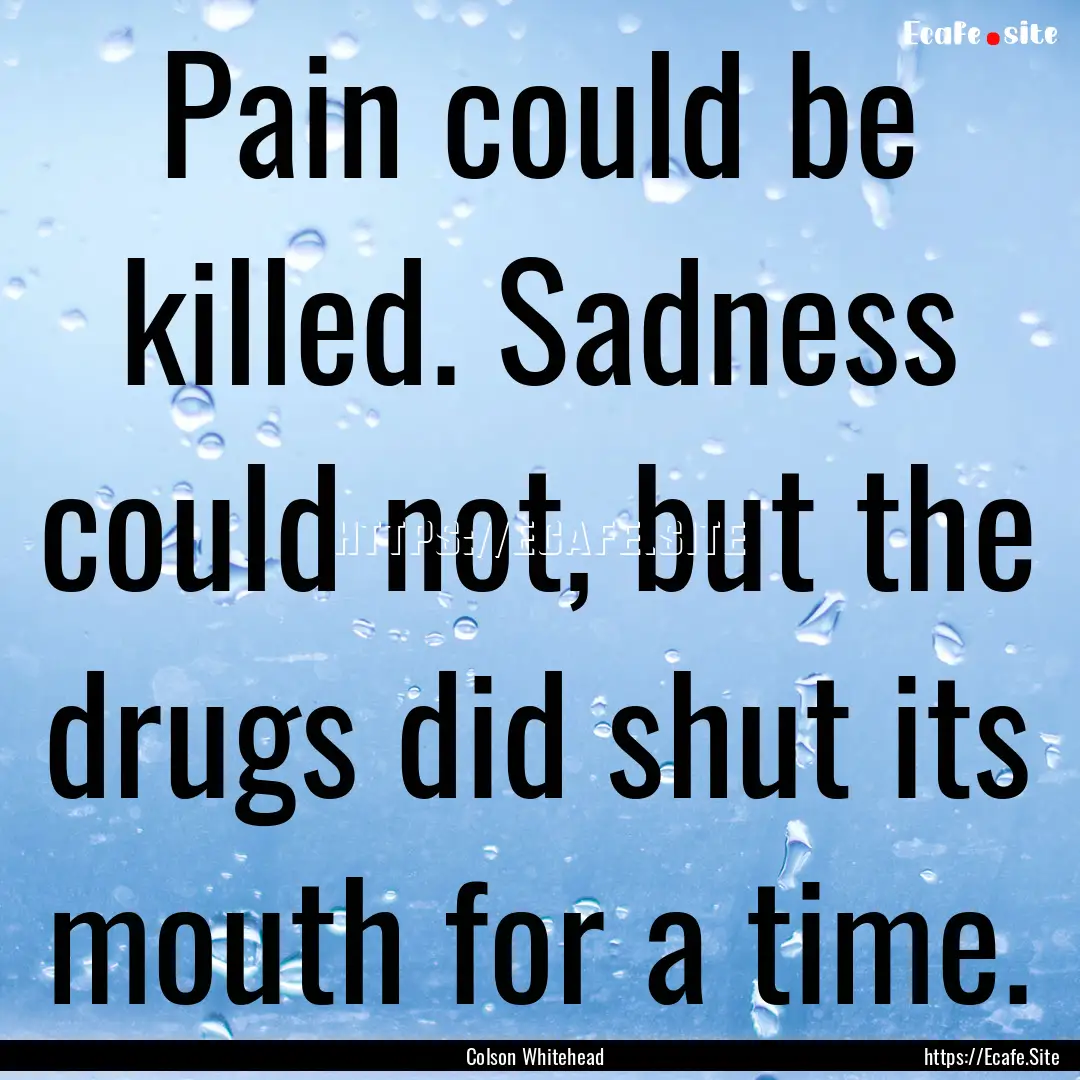 Pain could be killed. Sadness could not,.... : Quote by Colson Whitehead