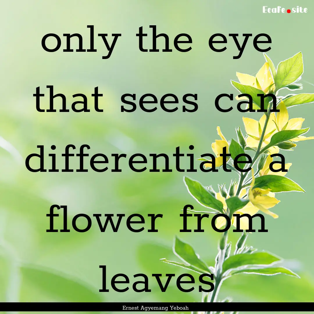 only the eye that sees can differentiate.... : Quote by Ernest Agyemang Yeboah