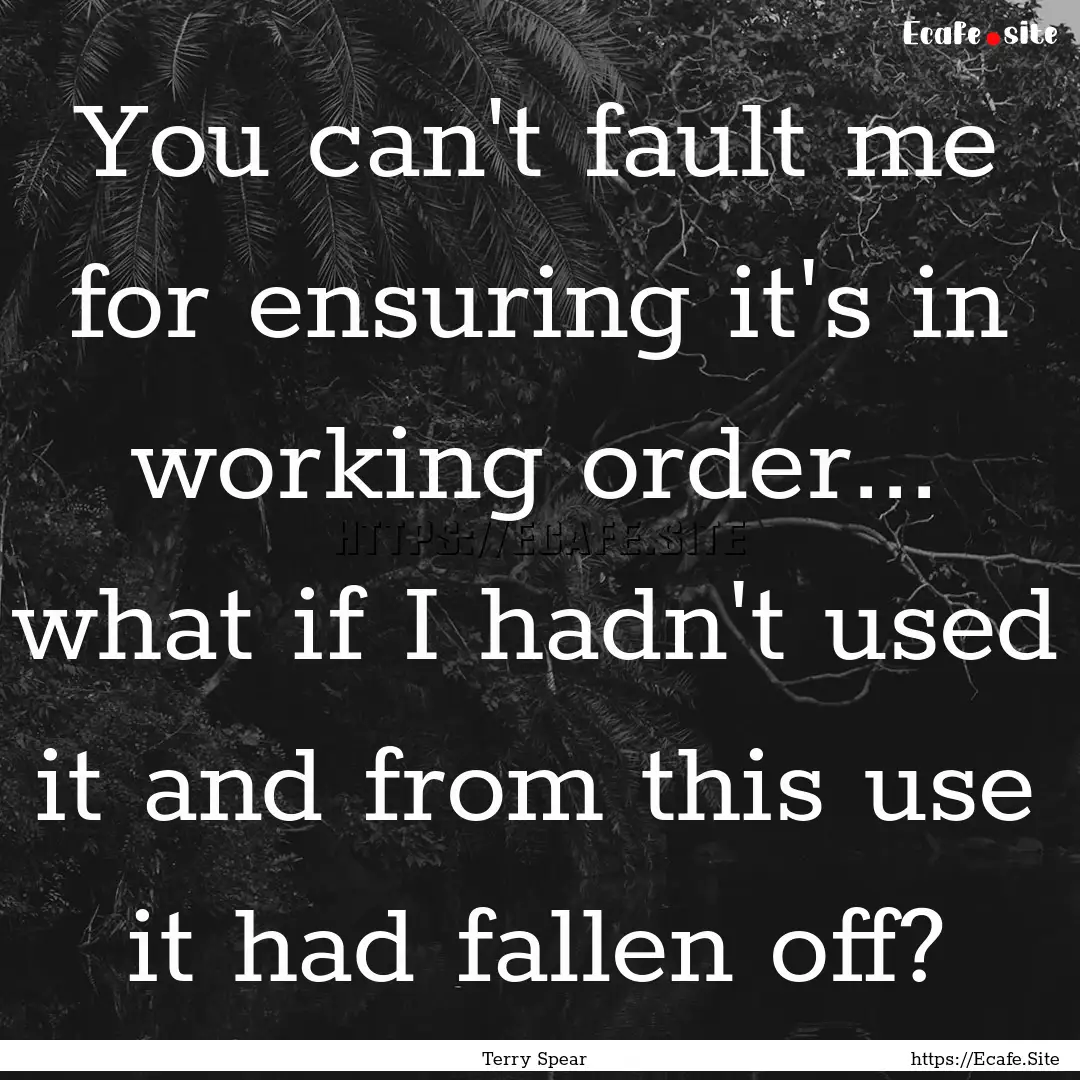 You can't fault me for ensuring it's in working.... : Quote by Terry Spear