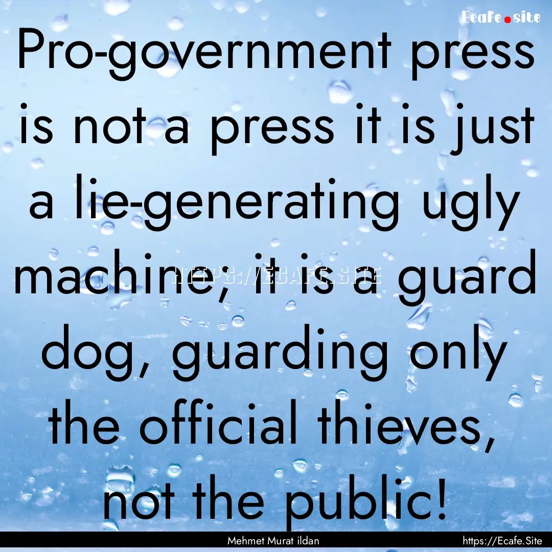 Pro-government press is not a press it is.... : Quote by Mehmet Murat ildan