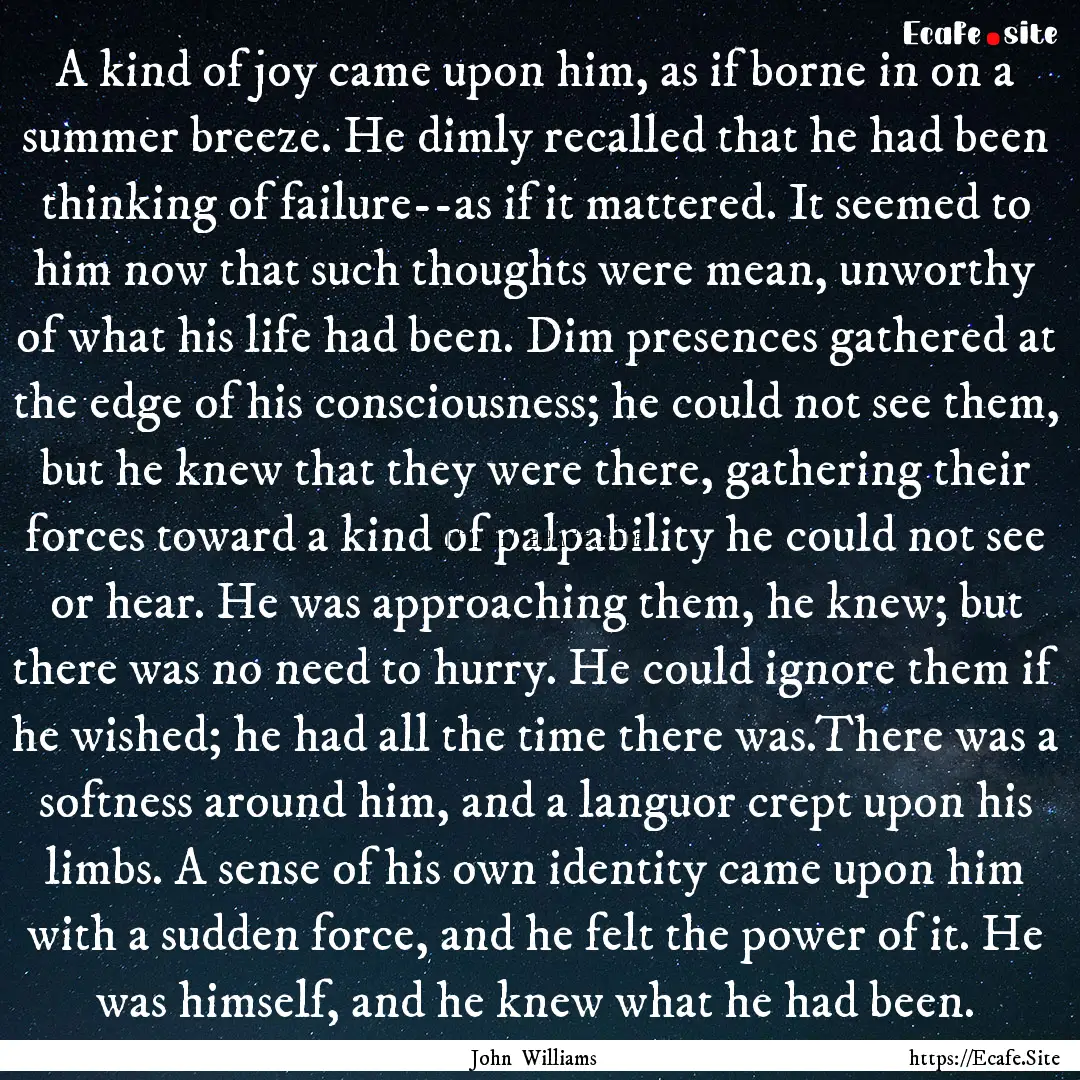 A kind of joy came upon him, as if borne.... : Quote by John Williams