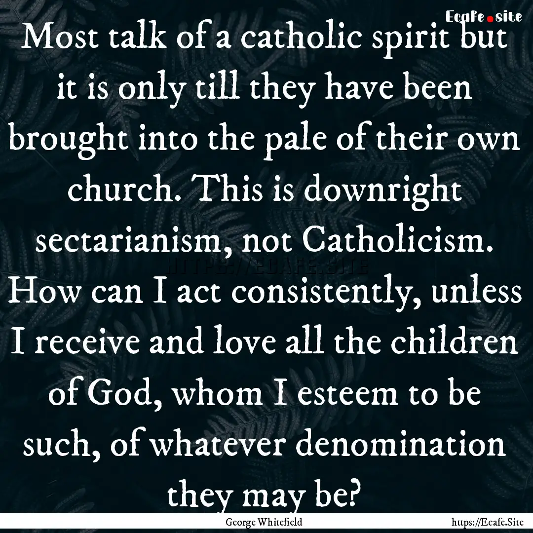 Most talk of a catholic spirit but it is.... : Quote by George Whitefield