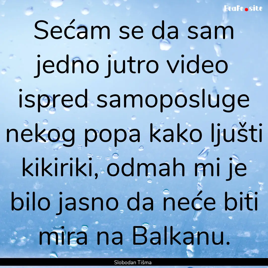 Sećam se da sam jedno jutro video ispred.... : Quote by Slobodan Tišma