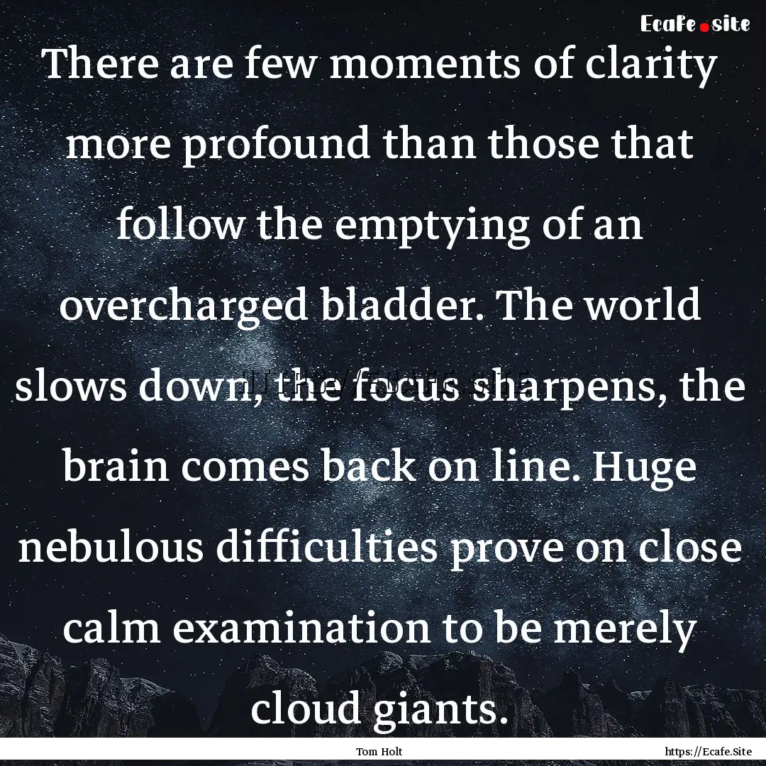 There are few moments of clarity more profound.... : Quote by Tom Holt