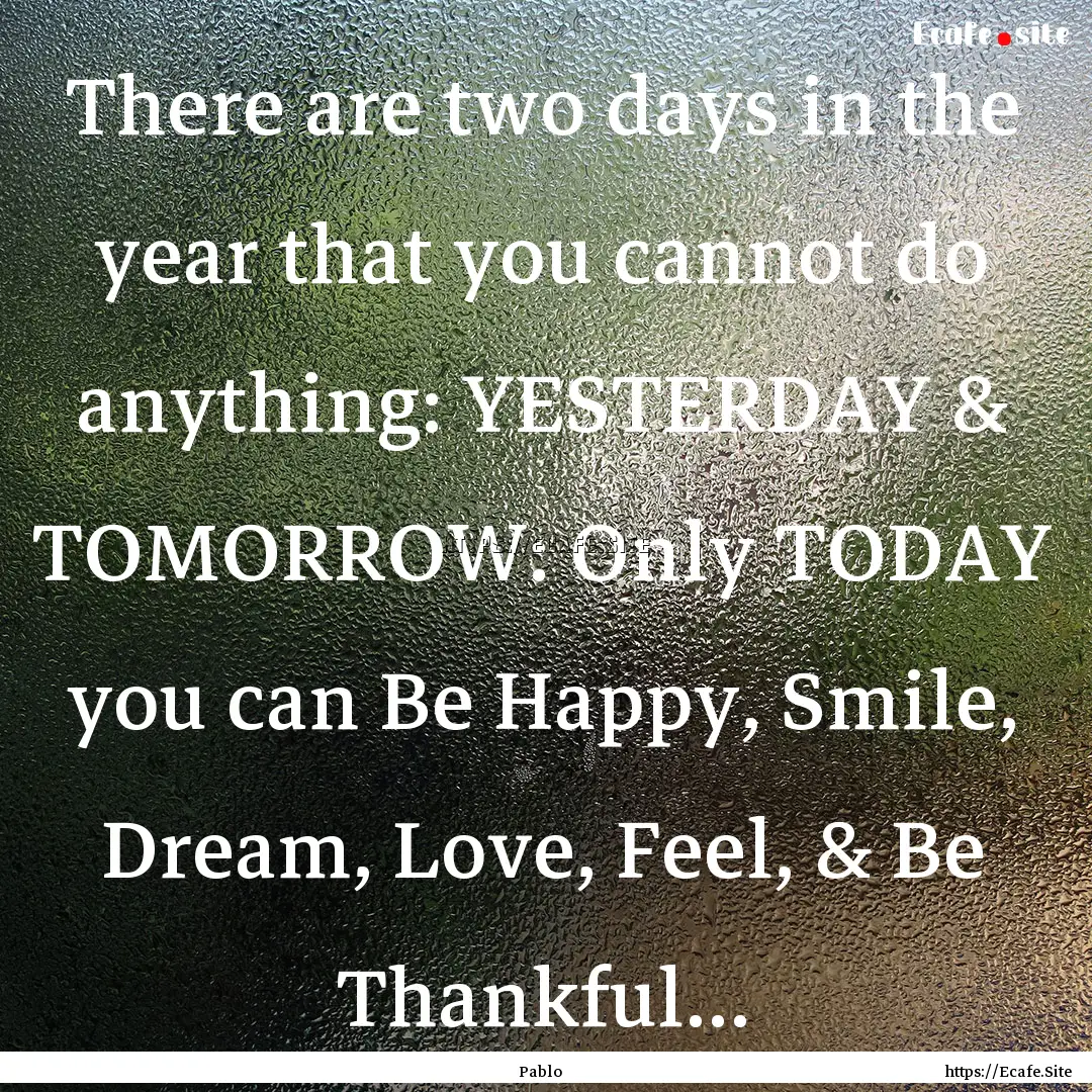 There are two days in the year that you cannot.... : Quote by Pablo