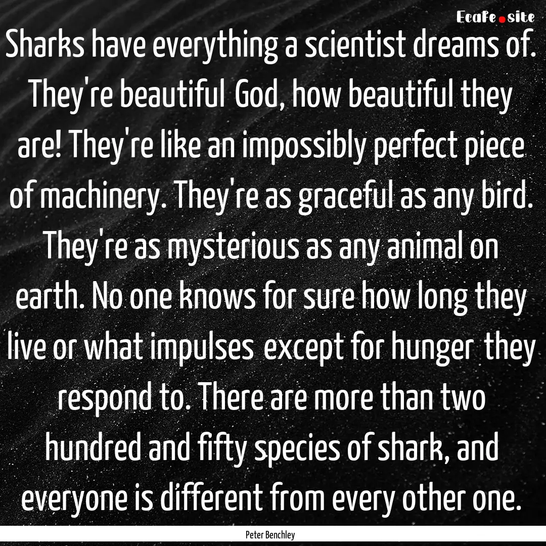 Sharks have everything a scientist dreams.... : Quote by Peter Benchley