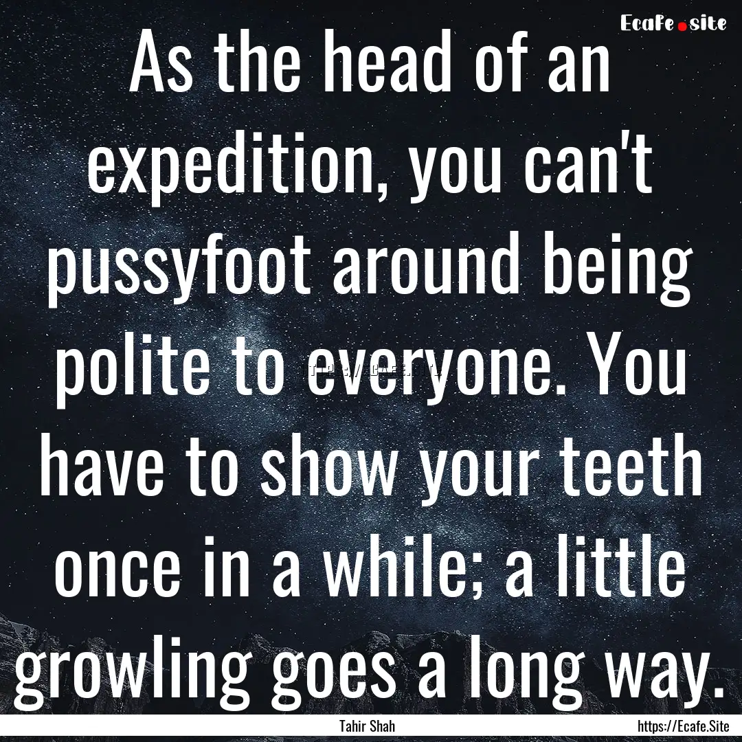 As the head of an expedition, you can't pussyfoot.... : Quote by Tahir Shah