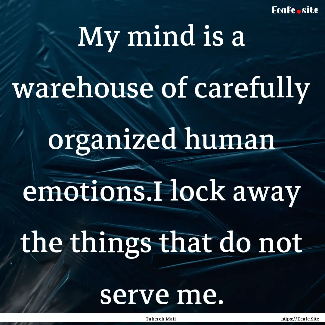 My mind is a warehouse of carefully organized.... : Quote by Tahereh Mafi