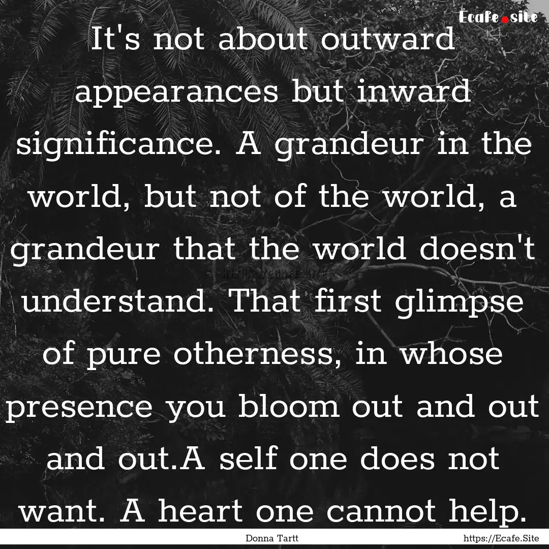 It's not about outward appearances but inward.... : Quote by Donna Tartt