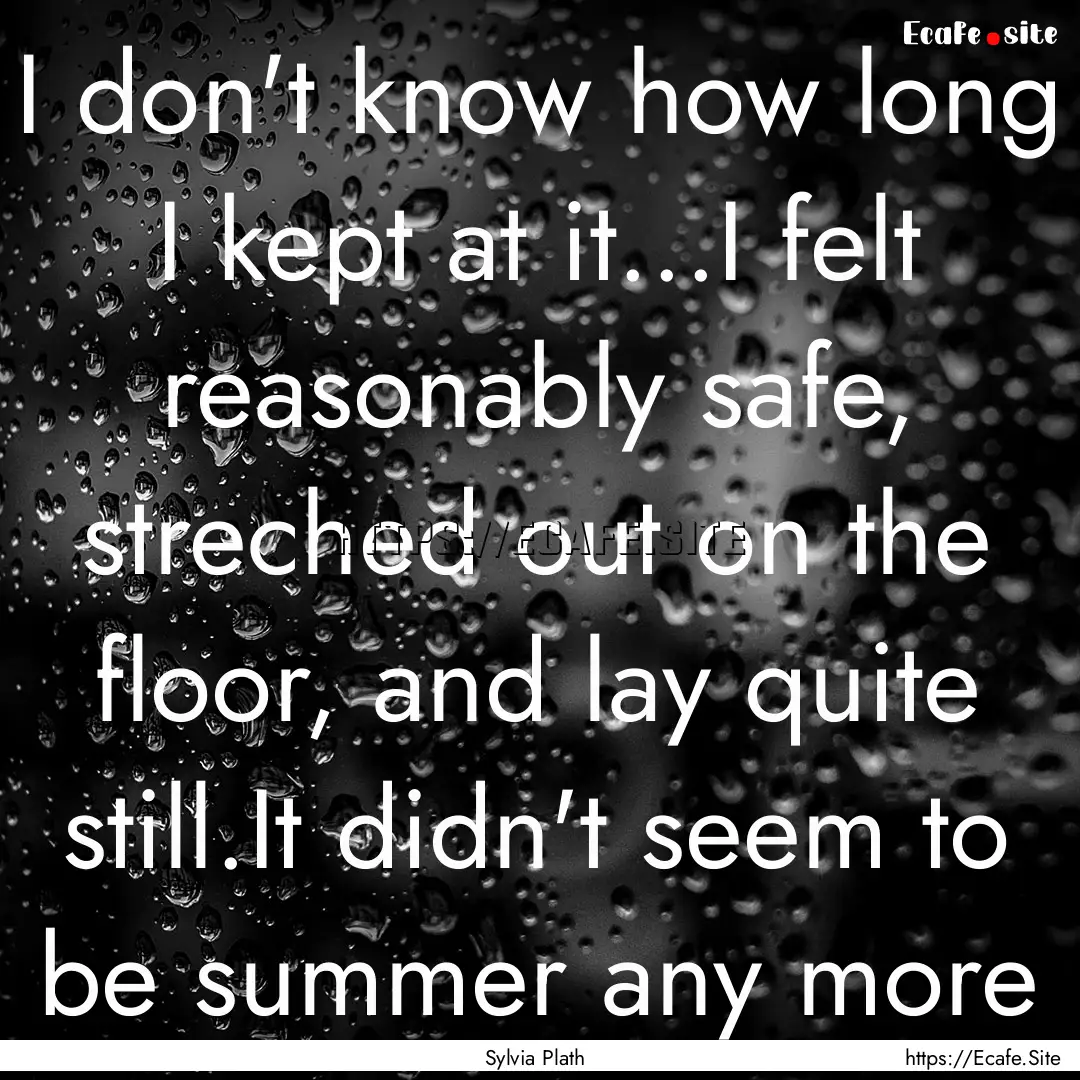 I don't know how long I kept at it...I felt.... : Quote by Sylvia Plath