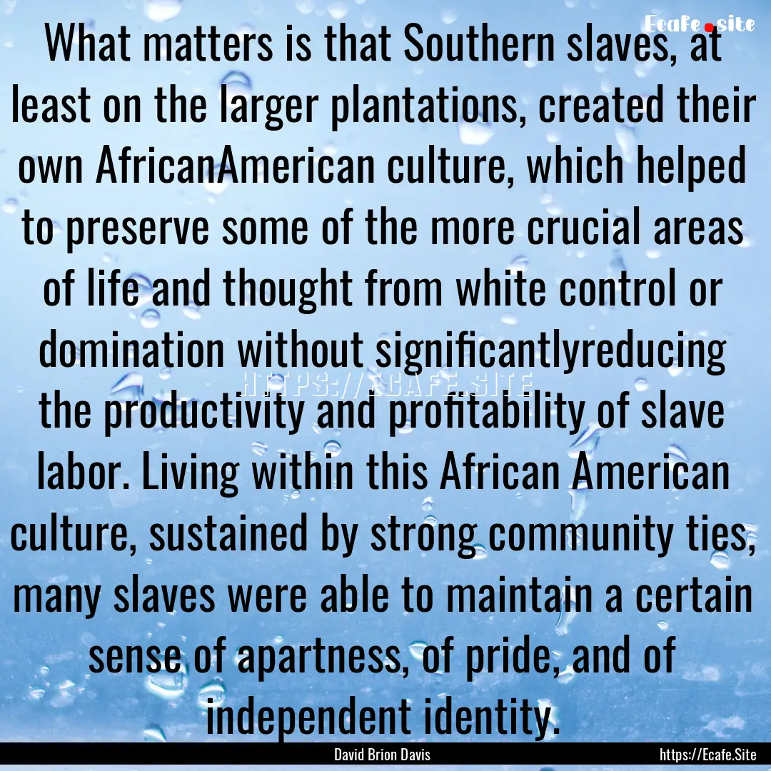 What matters is that Southern slaves, at.... : Quote by David Brion Davis