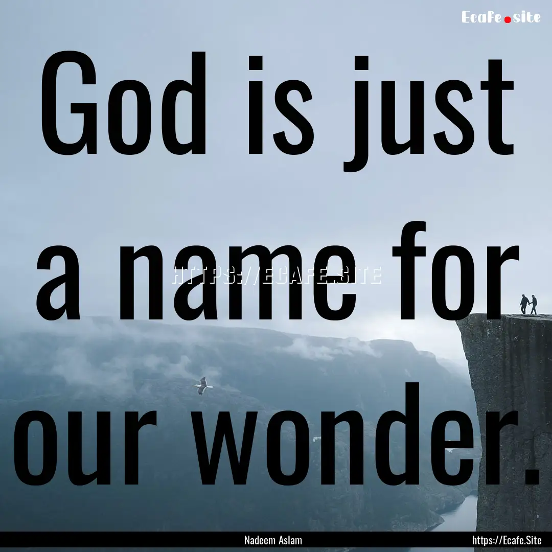 God is just a name for our wonder. : Quote by Nadeem Aslam