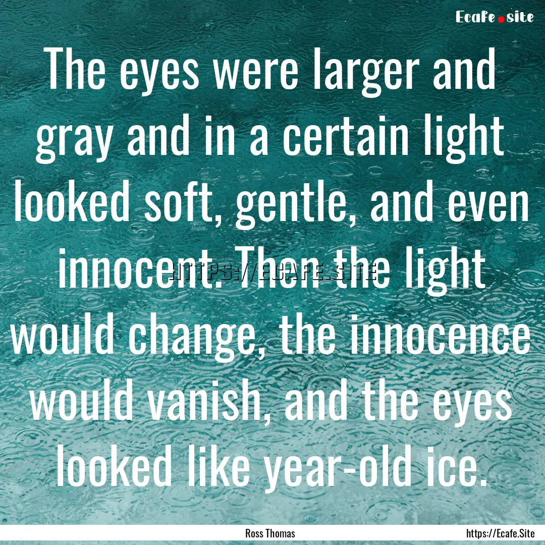 The eyes were larger and gray and in a certain.... : Quote by Ross Thomas