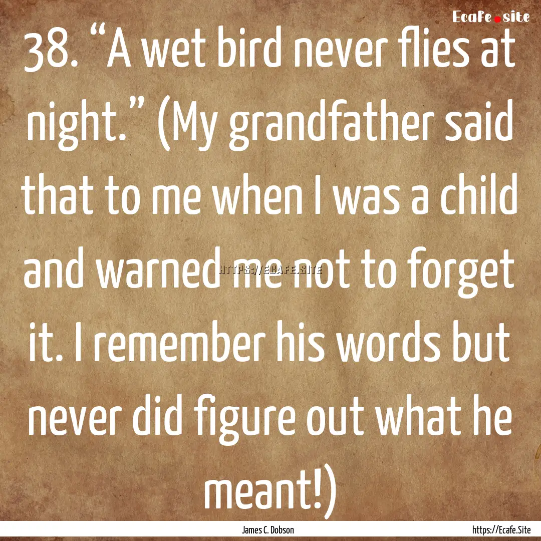 38. “A wet bird never flies at night.”.... : Quote by James C. Dobson