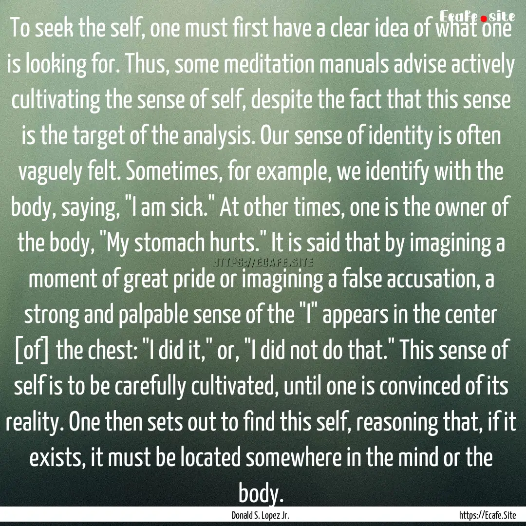 To seek the self, one must first have a clear.... : Quote by Donald S. Lopez Jr.