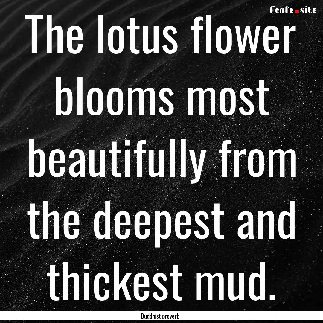 The lotus flower blooms most beautifully.... : Quote by Buddhist proverb