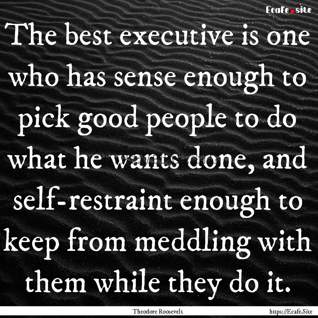 The best executive is one who has sense enough.... : Quote by Theodore Roosevelt