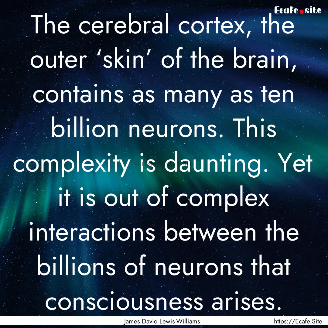 The cerebral cortex, the outer ‘skin’.... : Quote by James David Lewis-Williams