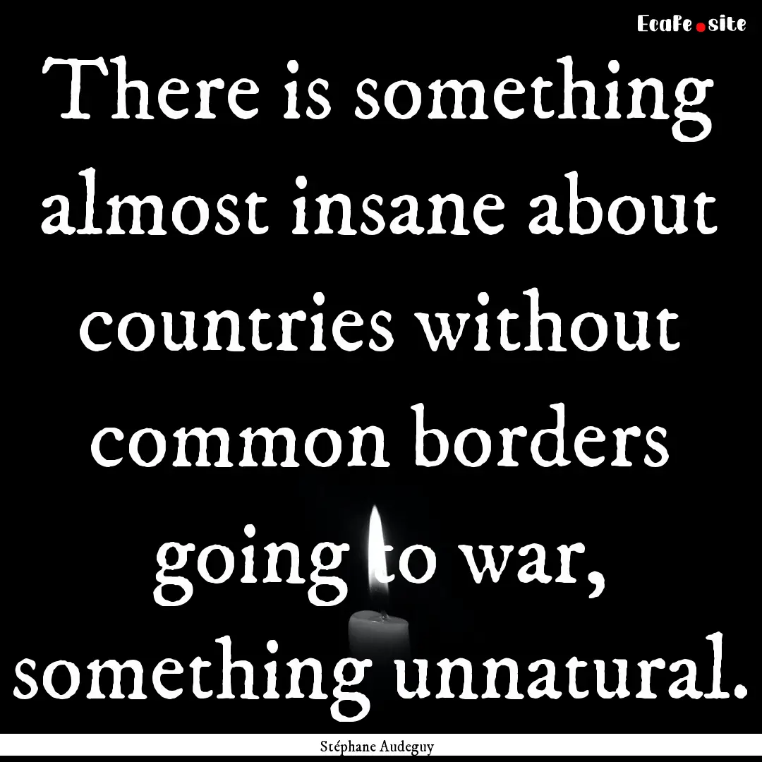 There is something almost insane about countries.... : Quote by Stéphane Audeguy